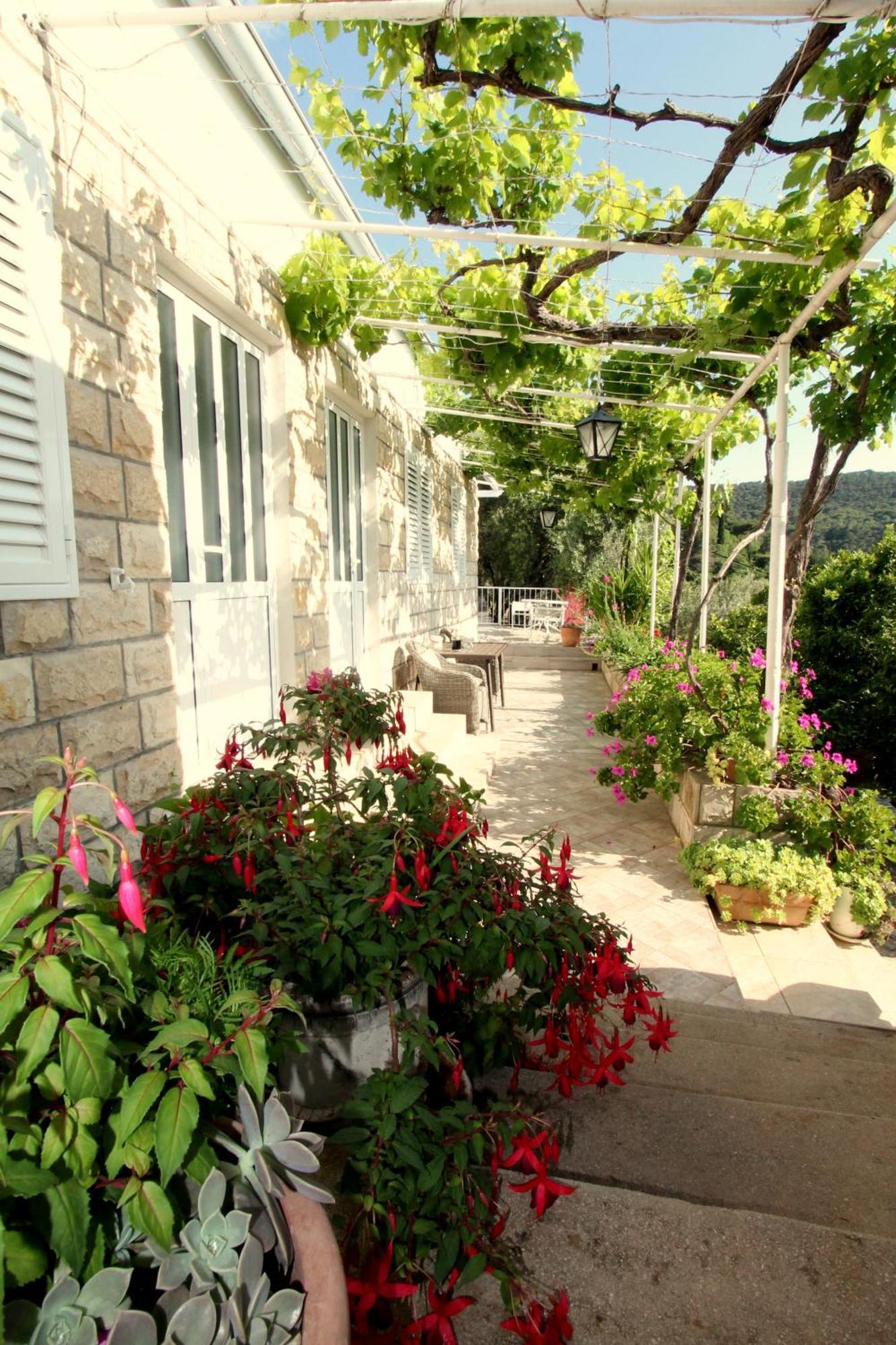 Apartments Cervelin Лопуд Экстерьер фото